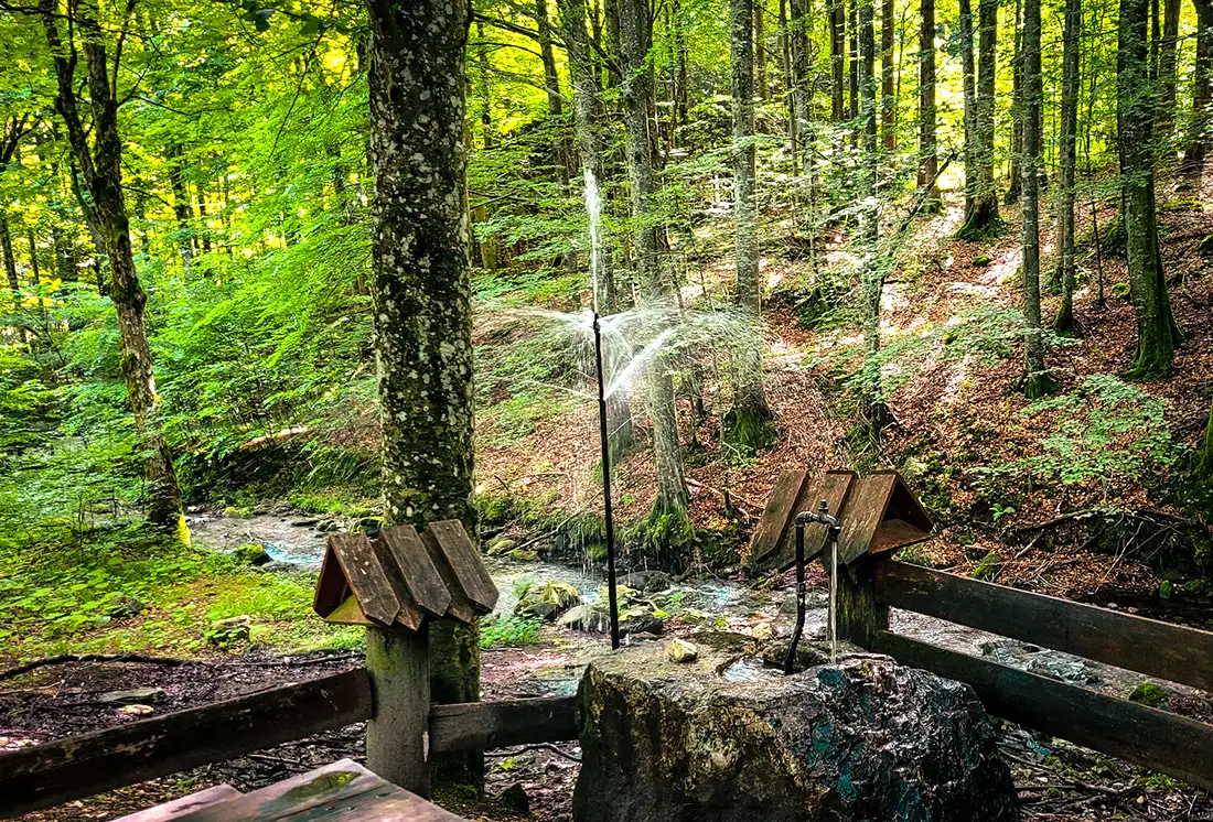 Potok Kleśnica w dolinie